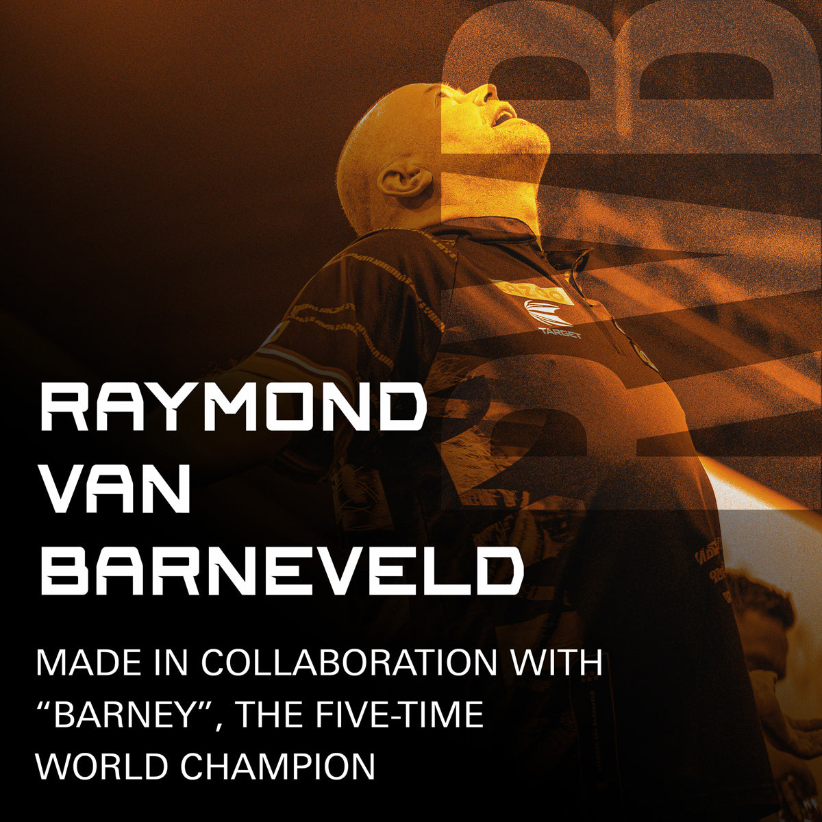 Raymond van Barneveld No2 K-Flex One Piece Dart Flights by Target - view 2