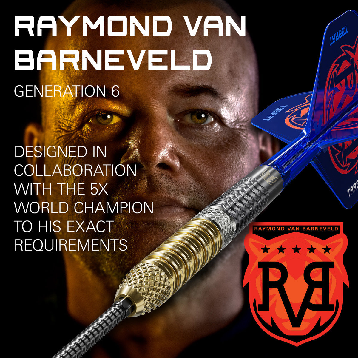 Target Raymond van Barneveld G6 95% Tungsten SP Steel Tip Darts - view 3