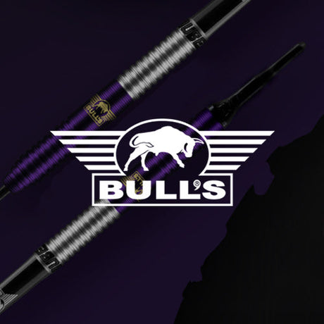 Bulls Darts