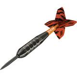 Raymond Van Barneveld RVB Brass Steel Tip Darts by Target - view 2