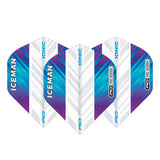 Hardcore Ionic Gerwyn Price Rainbow & White Standard Dart Flights by Red Dragon - view 2