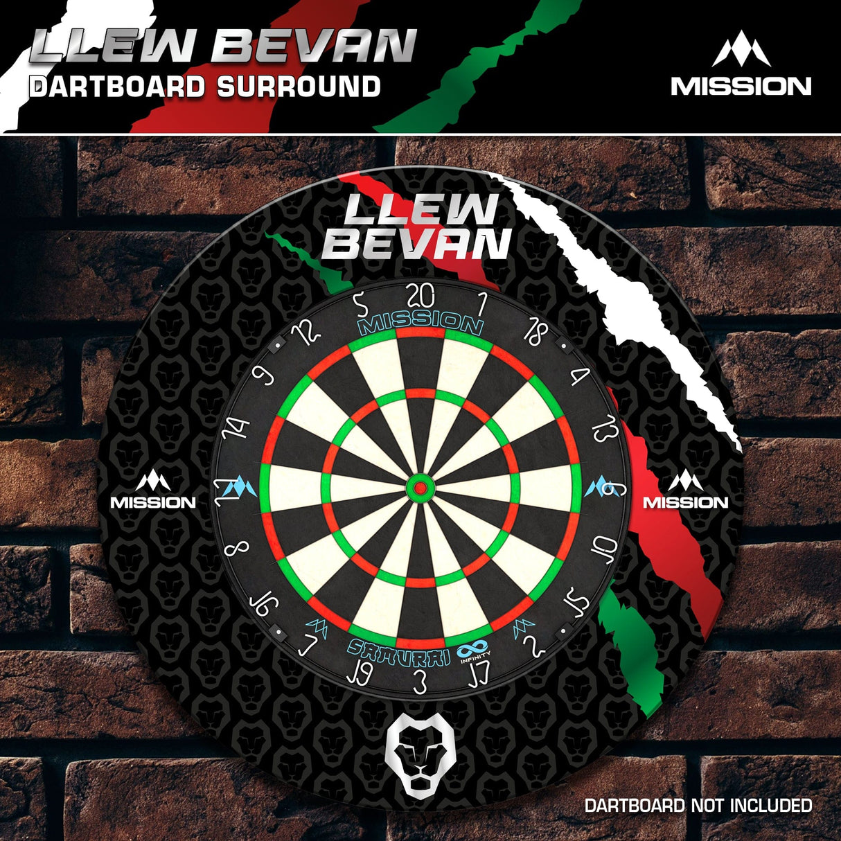 Mission Darts Players- Surround - Llew Bevan - view 6