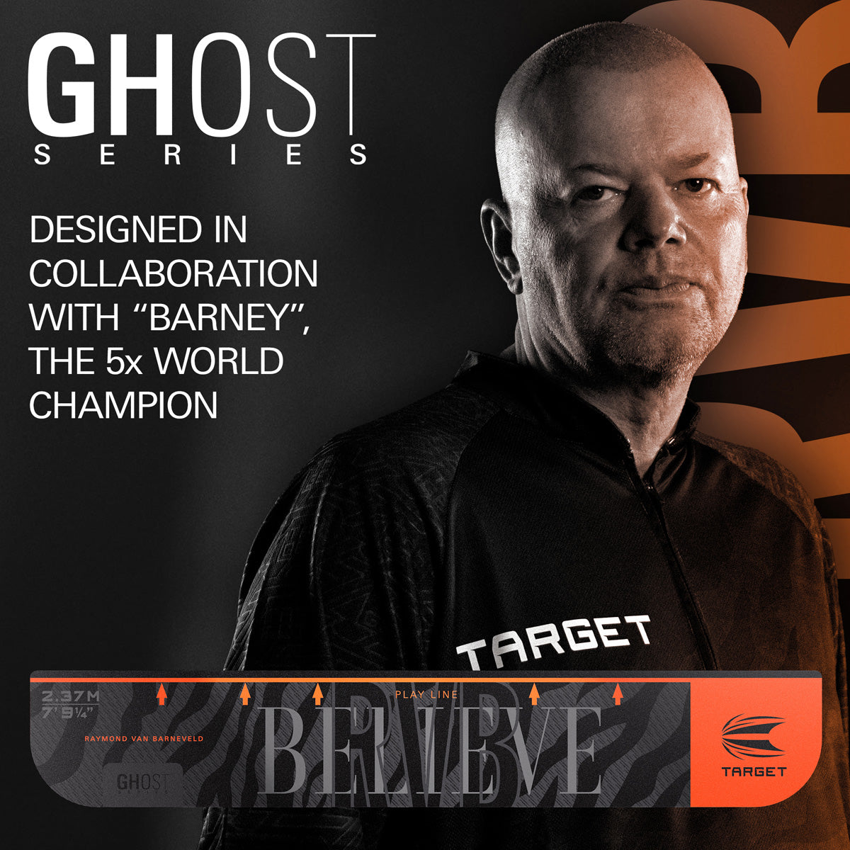 Target Raymond van Barneveld Throw Line - view 2