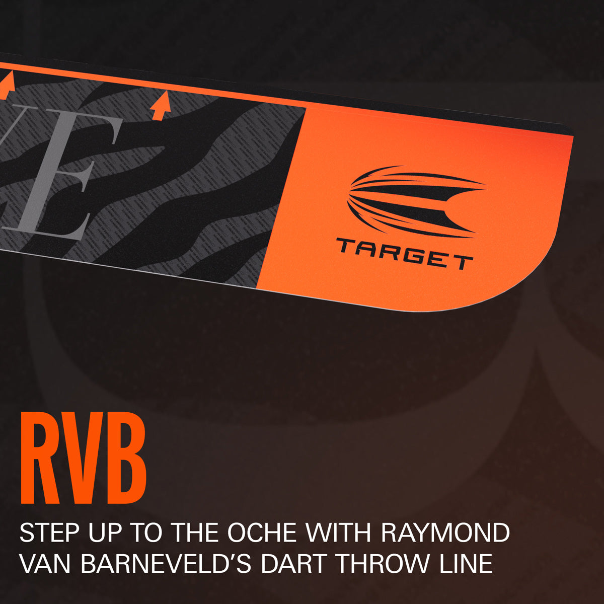 Target Raymond van Barneveld Throw Line - view 3