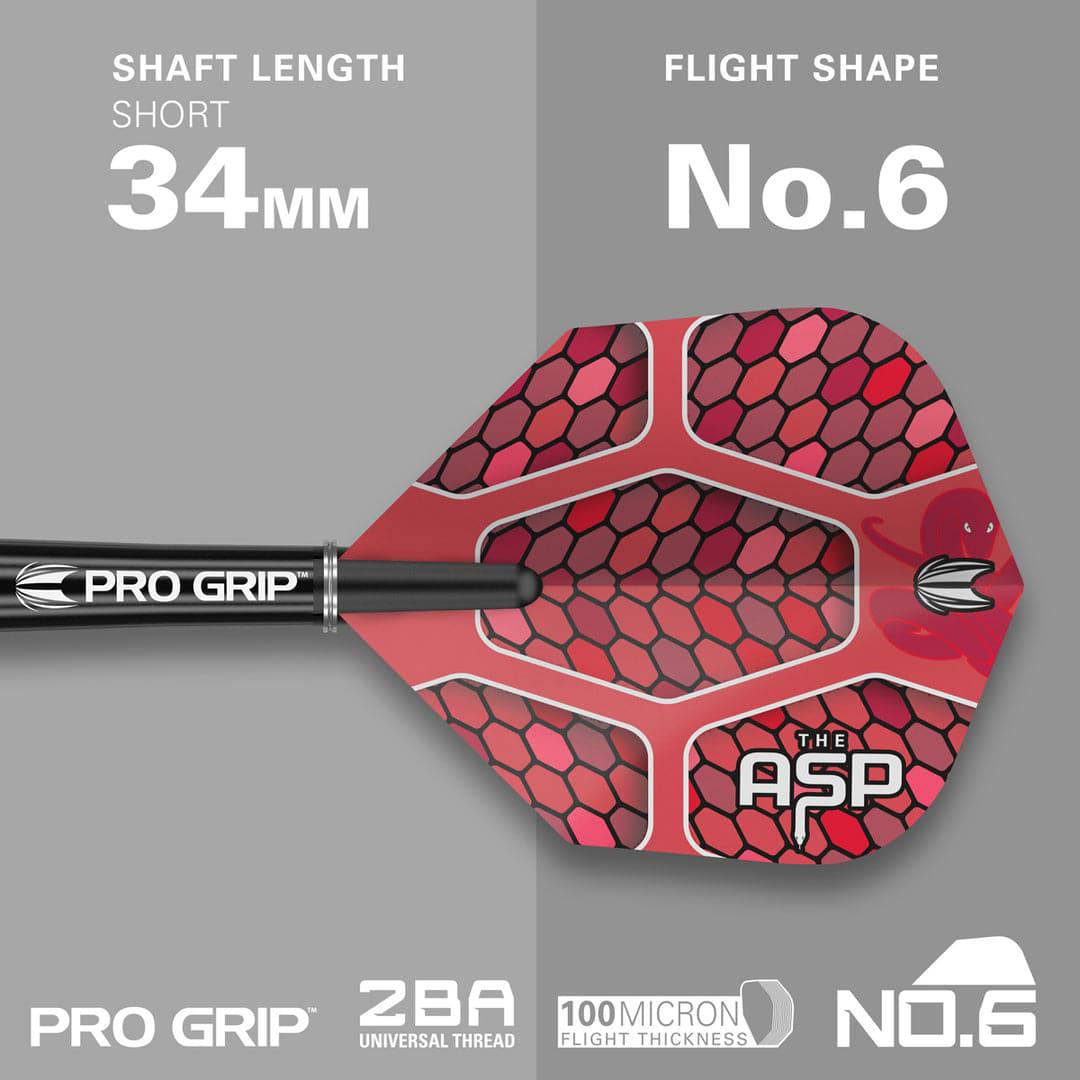 Nathan Aspinall 90% Tungsten Steel Tip Darts by Target - The Darts Shop