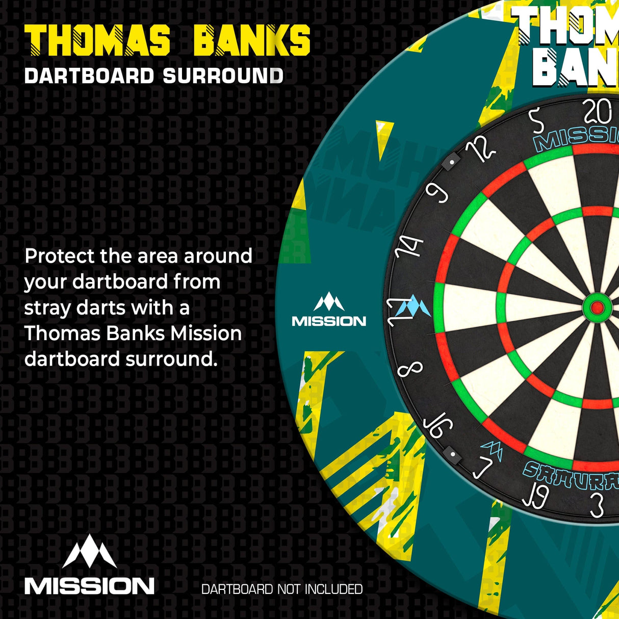 Mission Darts Players- Surround - Thomas Banks - view 2