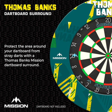 Mission Darts Players- Surround - Thomas Banks - view 2