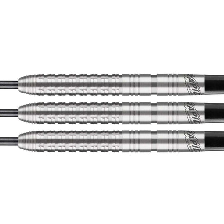 Ricky Evans 80% Tungsten Steel Tip Darts by Bulls NL - view 2