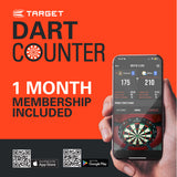 Target Bolide Envy 10 90% Tungsten Soft Tip Darts - view 6