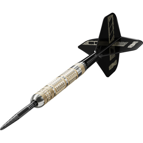 Target Dimitri Van den Bergh 95K 95% Tungsten SP Steel Tip Darts - view 2