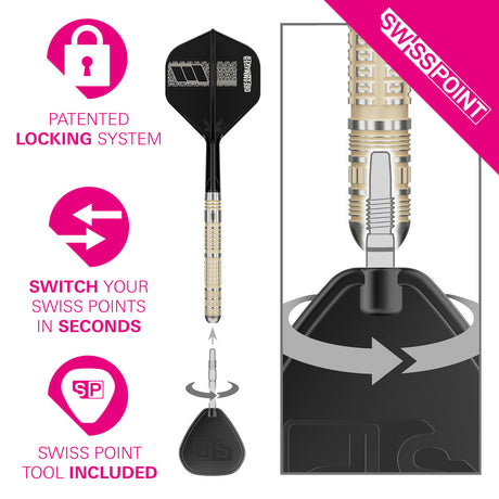 Target Dimitri Van den Bergh 95K 95% Tungsten SP Steel Tip Darts - view 5