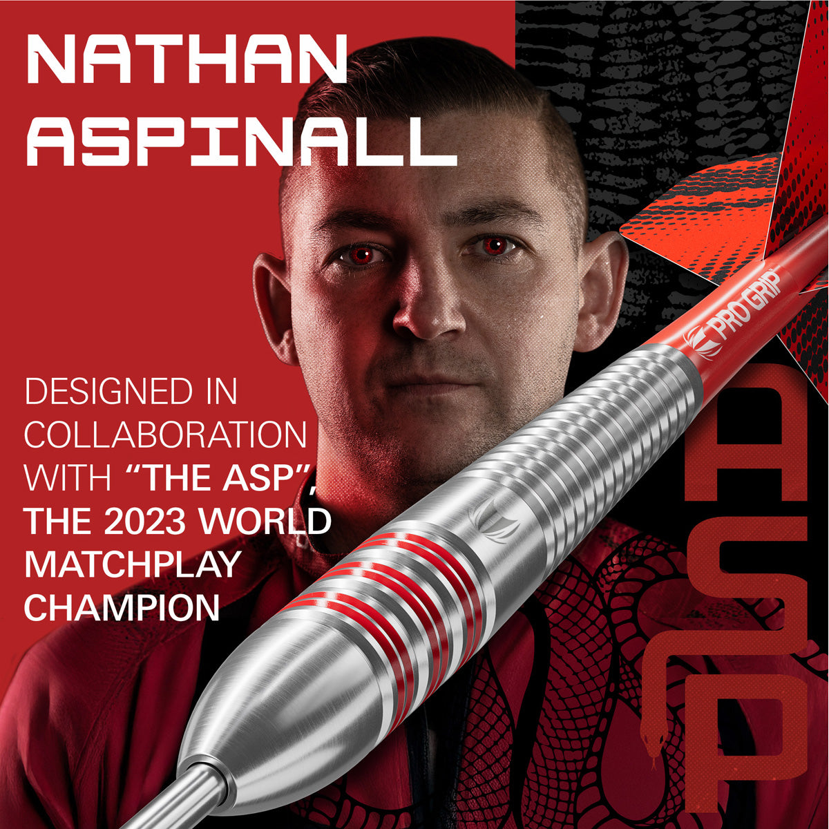 Target Nathan Aspinall Brass Steel Tip Darts - view 3