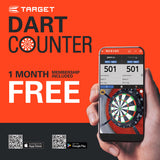 Raymond Van Barneveld Chrono 95% Tungsten Soft Tip Darts by Target - view 8