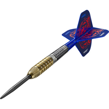 Target Raymond van Barneveld G6 95% Tungsten SP Steel Tip Darts - view 2