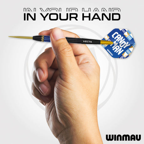 Winmau Rashad Sweeting 90% Tungsten Steel Tip Darts - view 4